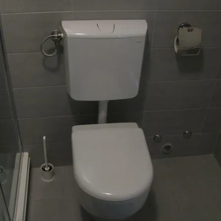 Cissana * Barbariga